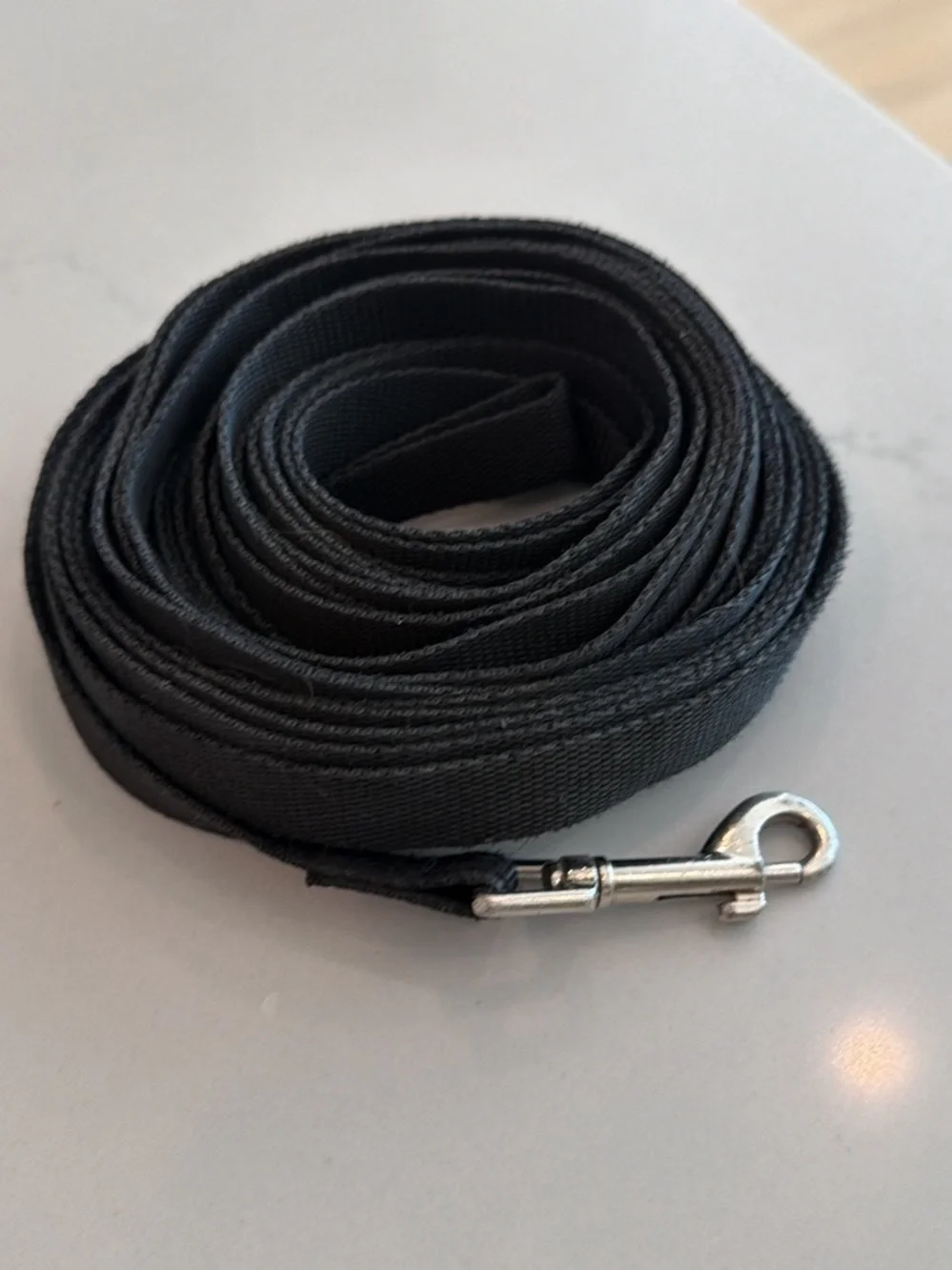 Amazon Black Heavy-Duty Dog Leash with Metal Snap Hook 30 ft